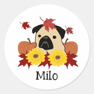 Sticker Rond Carlin d'automne avec Feuilles, Citrouilles et tou