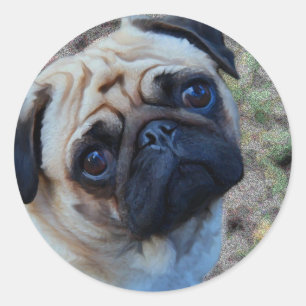 Sticker Rond Carlin d'espoir