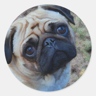 Sticker Rond Carlin d'espoir