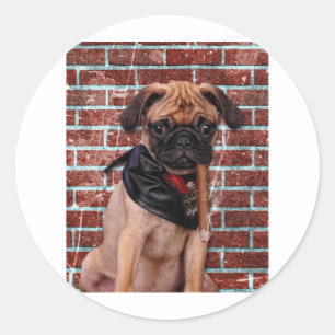 Sticker Rond Carlin main cool