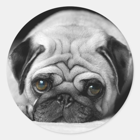 Sticker Rond Carlin triste (Devant)
