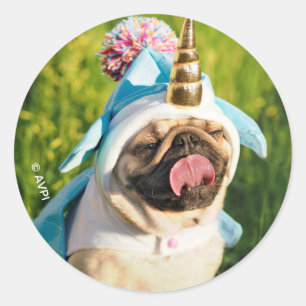 Sticker Rond Carlin Unicorn