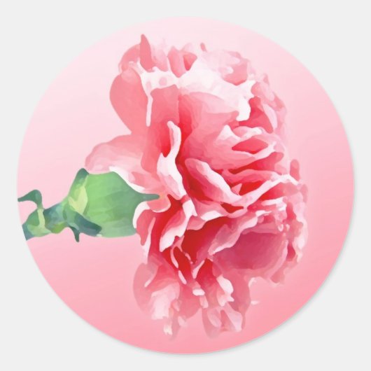 Sticker Rond Carnation rose (Devant)