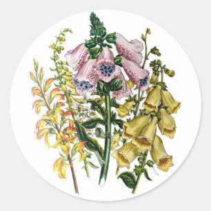 Sticker Rond Carnaval des fleurs