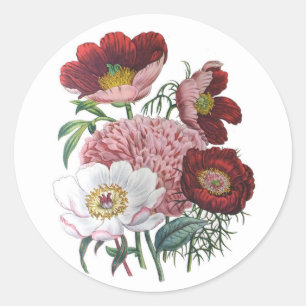 Sticker Rond Carnaval des fleurs