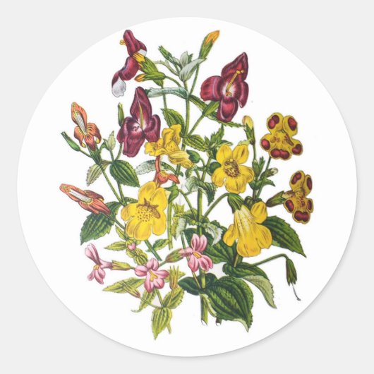 Sticker Rond Carnaval des fleurs (Devant)