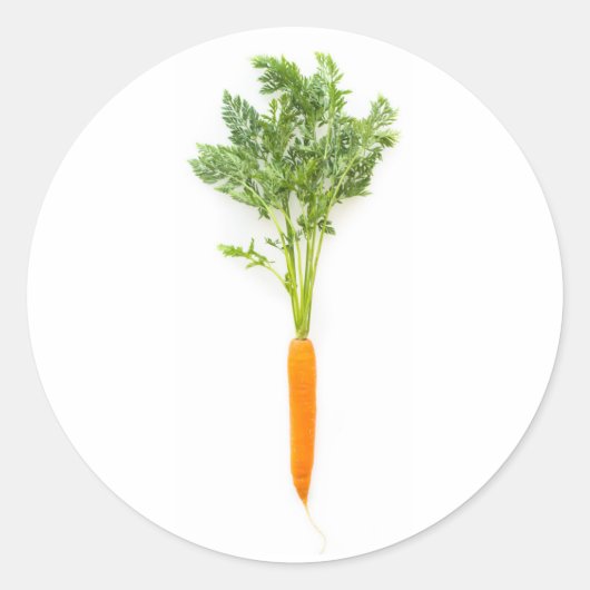 Sticker Rond Carotte (Devant)