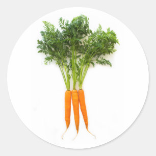 Sticker Rond Carottes