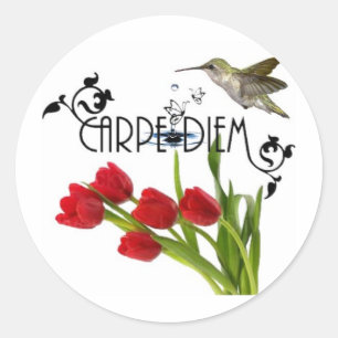 Sticker Rond carpe diem