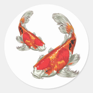 Sticker Rond Carpe Koï chanceuse