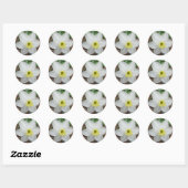Sticker Rond Carte de note Narcisse blanche et jaune (Feuille)