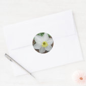 Sticker Rond Carte de note Narcisse blanche et jaune (Enveloppe)