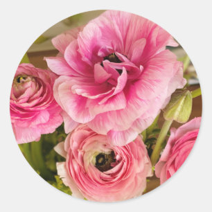 Sticker Rond Carte de voeux rose Ranunculus