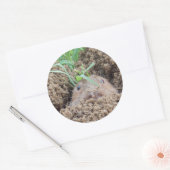 Sticker Rond Carte postale Vole Creature (Enveloppe)