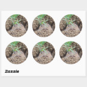 Sticker Rond Carte postale Vole Creature (Feuille)