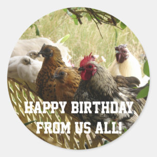 Sticker Rond Carte Tous les Anniversaires des poulets de coq