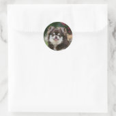 Sticker Rond Casque long Haired Chihuahua 1 (Sac)
