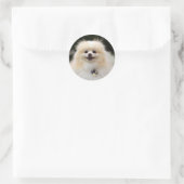 Sticker Rond Casque Poméranien 1 (Sac)