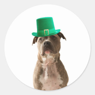 Sticker Rond Casquette de la Saint-Patrick Jour du Chien Taurea