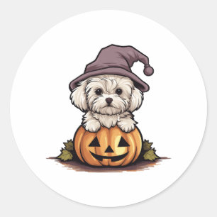 Sticker Rond Casquette de la sorcière d'Halloween Chien Citroui