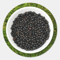 Cassis fraîchement ramassé