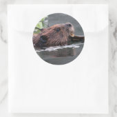 Sticker Rond castor (Sac)