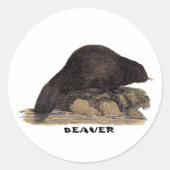 Sticker Rond Castor 1814 (Devant)
