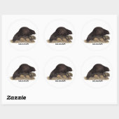 Sticker Rond Castor 1814 (Feuille)