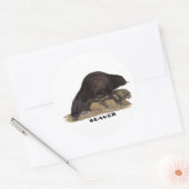 Sticker Rond Castor 1814 (Enveloppe)