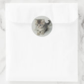 STICKER ROND CAT (Sac)
