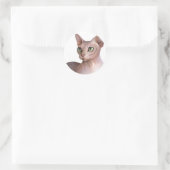 Sticker Rond Cat 578 Sphynx white background (Sac)