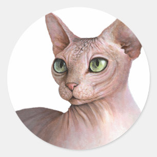 Sticker Rond Cat 578 Sphynx white background