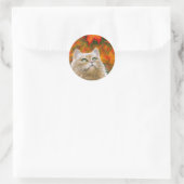 Sticker Rond Cat 598 Persian Fall Autumn (Sac)