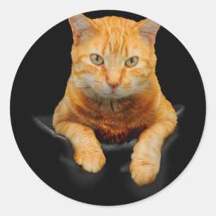 Sticker Rond Cat Animaux Creative Chat Motif Sac Chat
