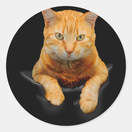 Sticker Rond Cat Animaux Creative Chat Motif Sac Chat (Devant)