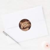 Sticker Rond Cat biting cardboard (Enveloppe)