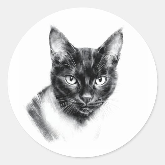 Sticker Rond Cat Charcoal (Devant)