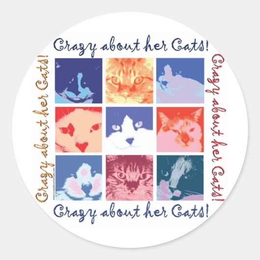 Sticker Rond Cat Crazy (Devant)