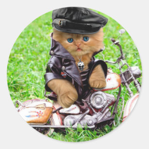 Sticker Rond Cat in a motorcycle