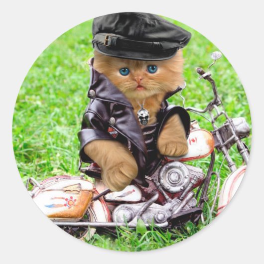 Sticker Rond Cat in a motorcycle (Devant)