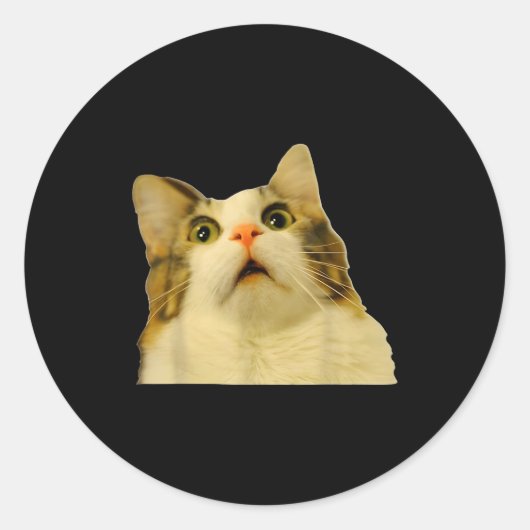 Sticker Rond Cat Meme Shock Cat Face Funny Meme Cat Silly Gift  (Devant)