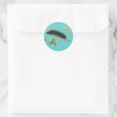 Sticker Rond Caterpillar Arctia caja (Sac)