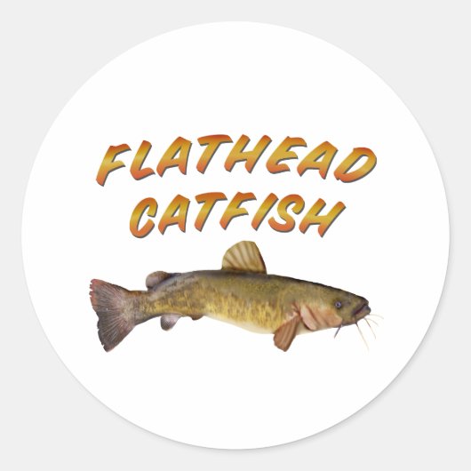 Sticker Rond Catfish (Devant)