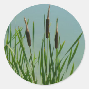 Sticker Rond Cattails