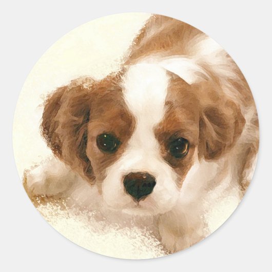 Sticker Rond Cavalier King Charles Spaniel (Devant)