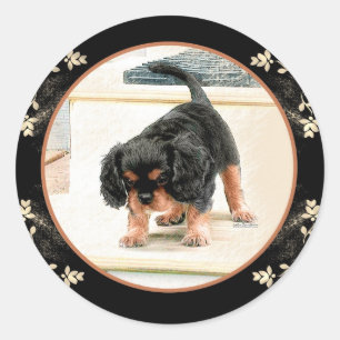 Sticker Rond Cavalier King Charles Spaniel
