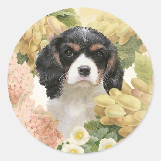 Sticker Rond Cavalier King Charles Spaniel (Devant)