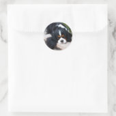 Sticker Rond Cavalier King Charles Spaniel (Sac)