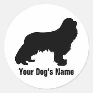 Sticker Rond Cavalier King Charles Spaniel キ ャ voir リ