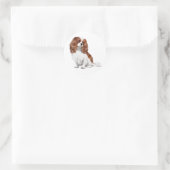 Sticker Rond Cavalier King Charles Spaniel (A) - Blenheim 1 (Sac)